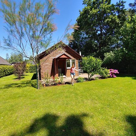 Ferienhaus Eschenallee Villa Wendisch Rietz Dış mekan fotoğraf